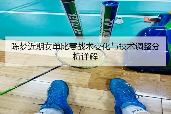 陈梦近期女单比赛战术变化与技术调整分析详解