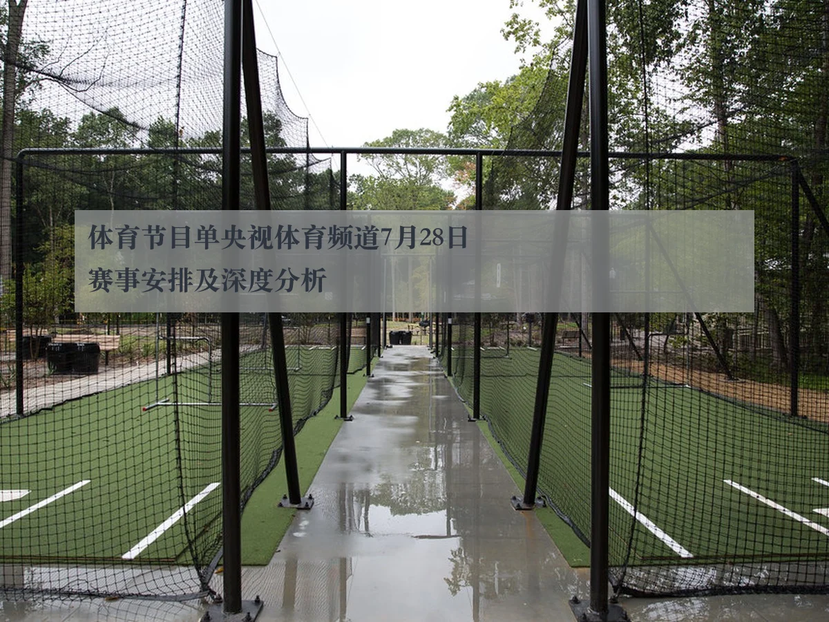 体育节目单央视体育频道7月28日赛事安排及深度分析